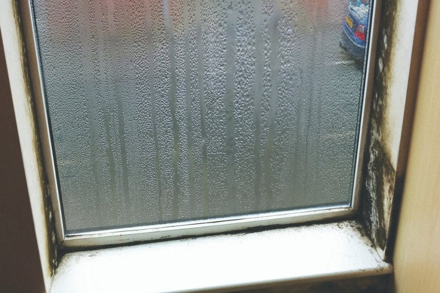 How to Remove Mildew or Mold on Glass and Windows? [with pictures] - FAB  Glass and Mirror