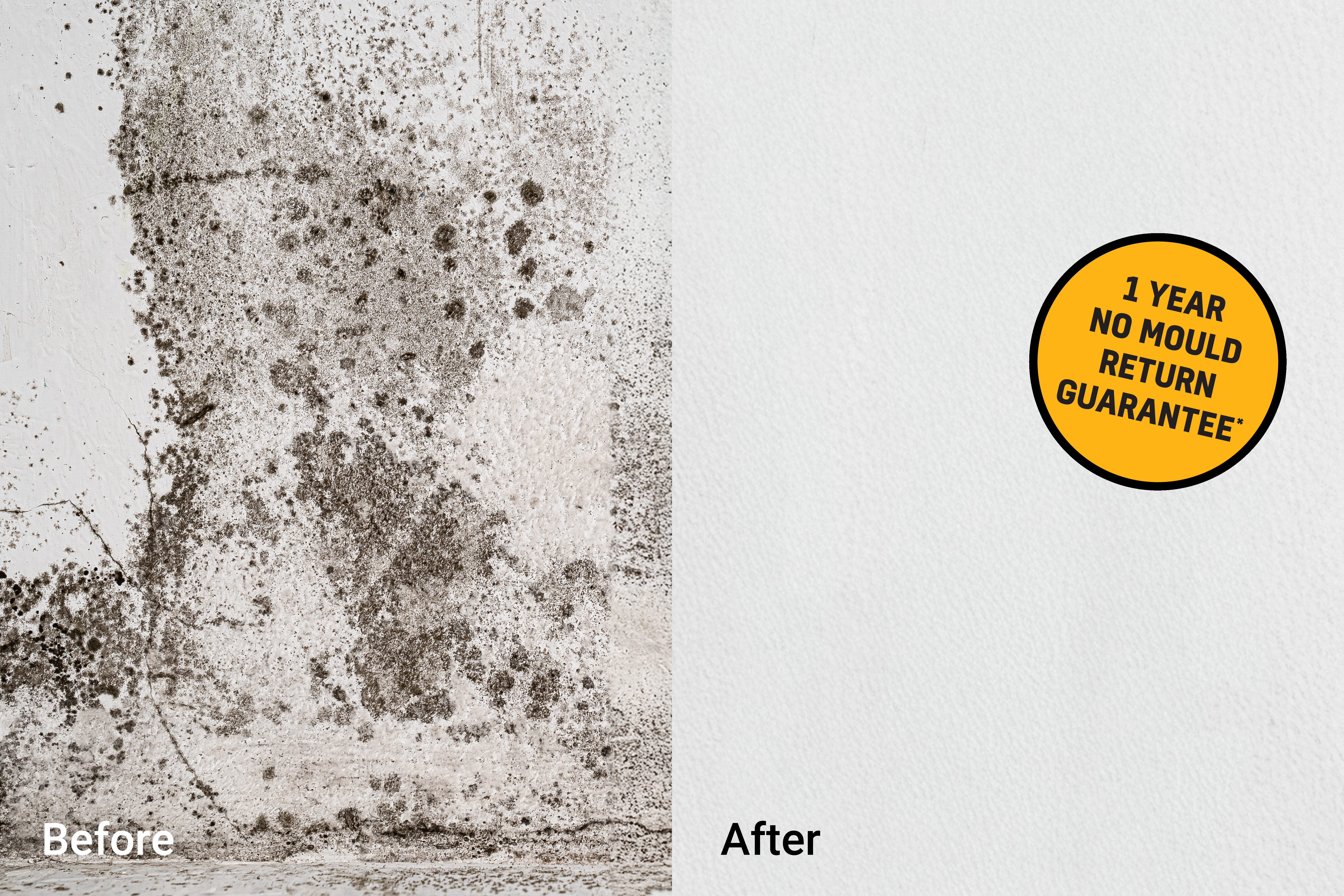 mould-treatment-before-after-removal