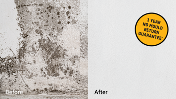 mould-treatment-before-after-removal
