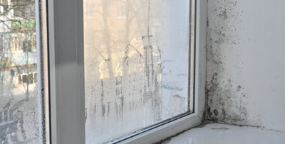 mould-on-wall-and-window