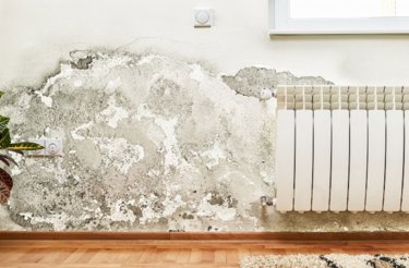 damp-on-wall-in-home