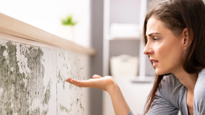 person-looking-at-mouldy-wall