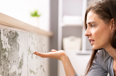 person-looking-at-mouldy-wall