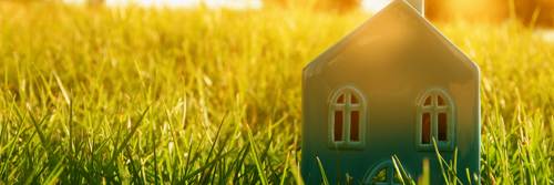 stock-image-green-home-in-grass_1.png
