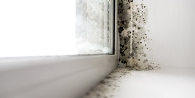 mould-along-window-and-wall