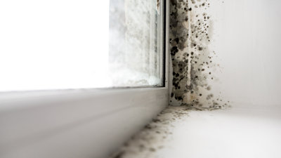 mould-along-window-and-wall