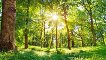 sustainability-initiatives-sustainable-environment