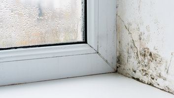 mould-on-corner-of-wall