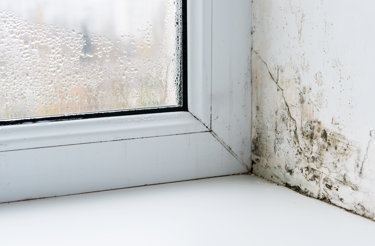 mould-on-corner-of-wall