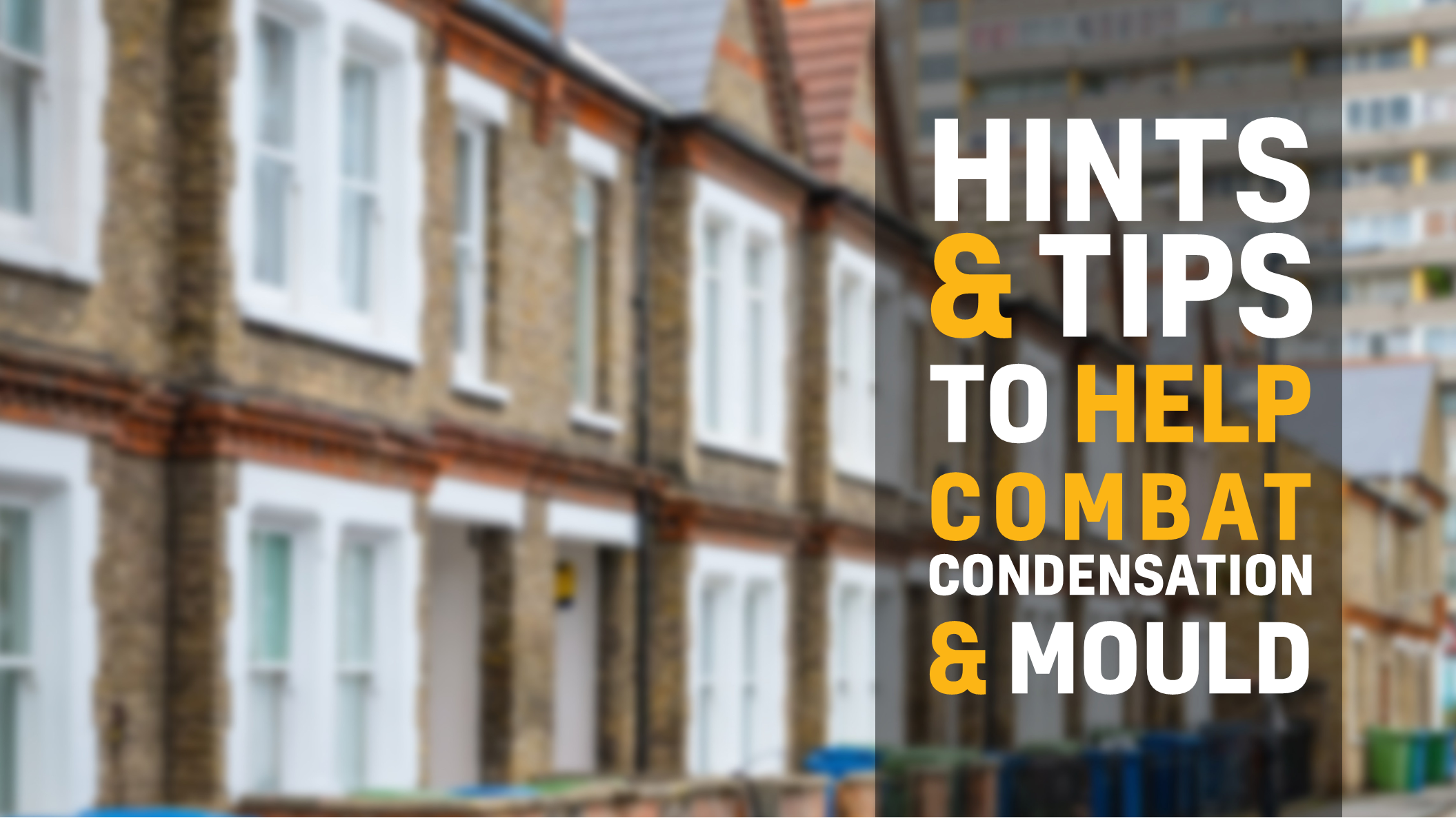 condensation-mould-hints-and-tips